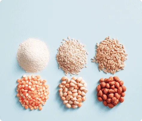Assorted grains and seeds on a light blue background.